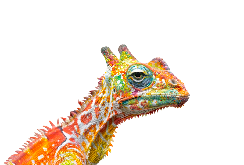 Fantasietier - ein Mix aus Chamäleon und Giraffe - als Sinnbild für die Fähigkeit als Freelancer sich dem Unternehmen anzupassen